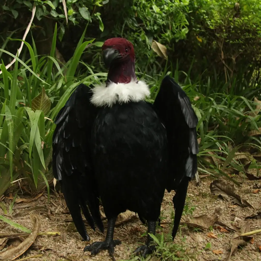 Artificial feather type bird Cute Standing Vulture garden and home Bonsai Decor