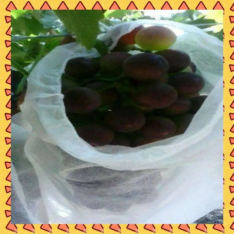 

A008 400PCS Garden Plant Fruit Cover Protect Net Mesh Bag Against Insect Bird Pest