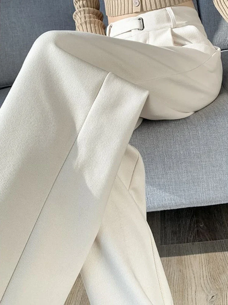 المرأة مستقيم واسعة الساق السراويل دعوى مع الستارة ، البني الصوفية ، النسخة الضيقة ، جديد ، الخريف والشتاء ، 2022