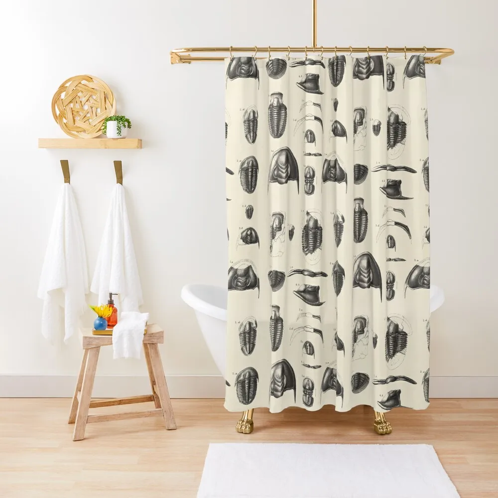 

1877 Vintage Etchings of Fossils, Trilobites. II. Primordial period. Shower Curtain Bathroom And Shower Set For Bathroom Curtain