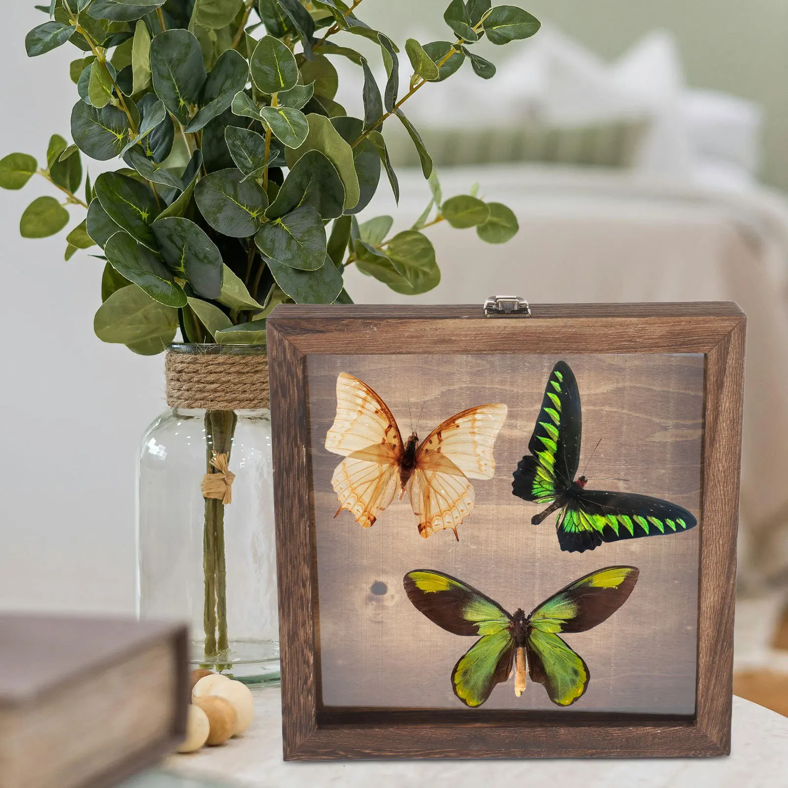 

Wooden Butterfly Collection Box Flip Cover Eternal Flower Present Box Dried Flower Display Case Jewelry Holder Home Decoration