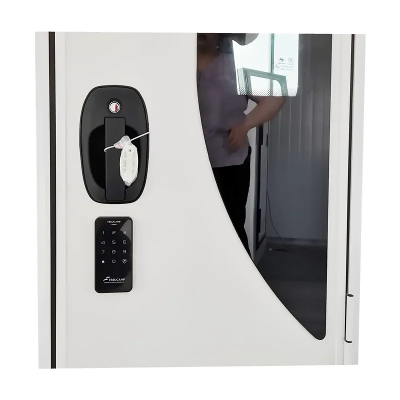 Double-point Lock RV Motorhome Caravan Door with Fly Screen and Password Control for TONGFA Aluminum Alloy Frame for 2025 view 4