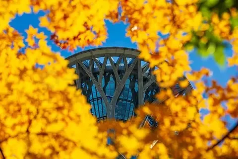 

70 мм 64 мм 50 мм Бесщеточный двигатель EDF Канальный вентилятор 40A 50A 80A ESC 2-7S Комбинированный для RC RC JET Самолет EDF Самолет