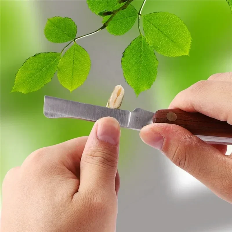 Klapp Pfropfmesser Pflanze Pfropfen Beschneiden Werkzeuge Professionelle Garten Obst Baum Cutter Edelstahl Holzgriff Messer