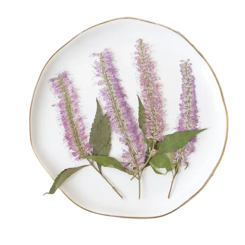 Nature Pressed Dry Flowers Purple Willow Flower Branch DIY Leaf Specimens Photo Frame Children's Handbook party gift card decor