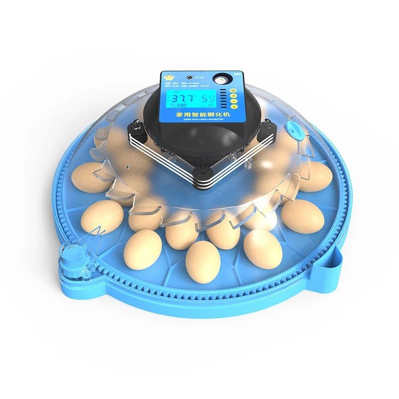 

Incubator Small Household Mini Incubator Intelligent Fully Automatic