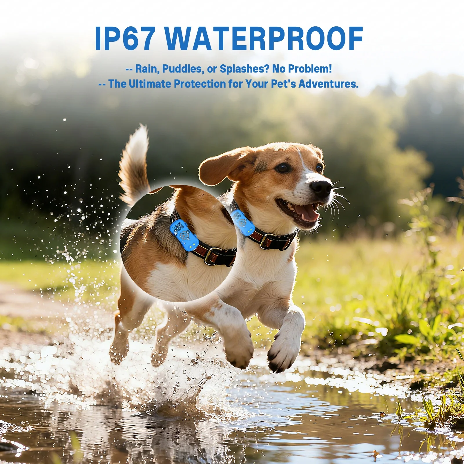 เครื่องติดตาม GPS ป้องกันการสูญหายสำหรับสุนัขขนาดใหญ่ ใช้สำหรับเดินป่ากลางแจ้ง - ระบุตำแหน่งแบบเรียลไทม์ กันน้ำระดับ IP67 พร้อมค่าบริการสมัครสมาชิก