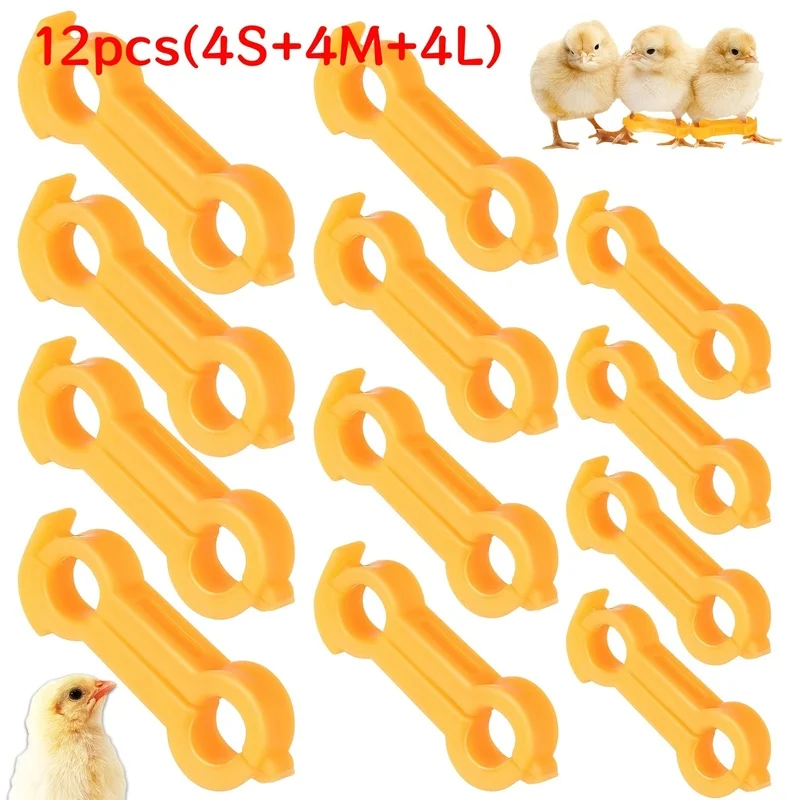 12 Pièces Attelle de Correction des Pattes de Volaille, Anneau de Soutien pour Pattes Écartées pour Canard, Caille, Perroquet, Rééducation des Jeunes Oiseaux