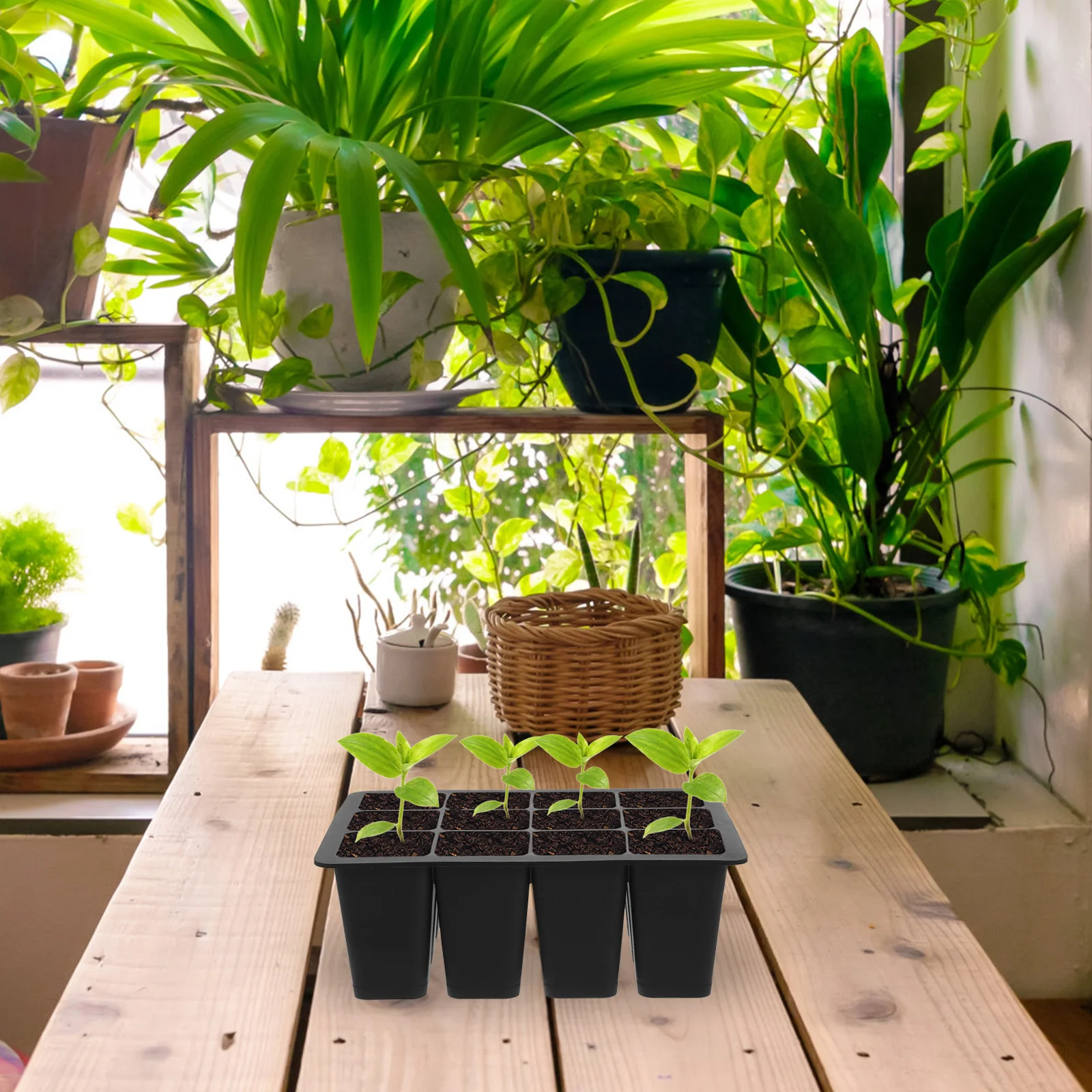 

Reusable Plant Starter Tray Germination Growing Tray For Indoor Outdoor Garden Nursery Propagator Vegetable Herb Flower