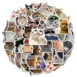 10/50PCS Cat MEME Funny Animals Stickers Vintage Toy DIY Kids Notebook Luggage Motorcycle Laptop Refrigerator Decals Graffiti