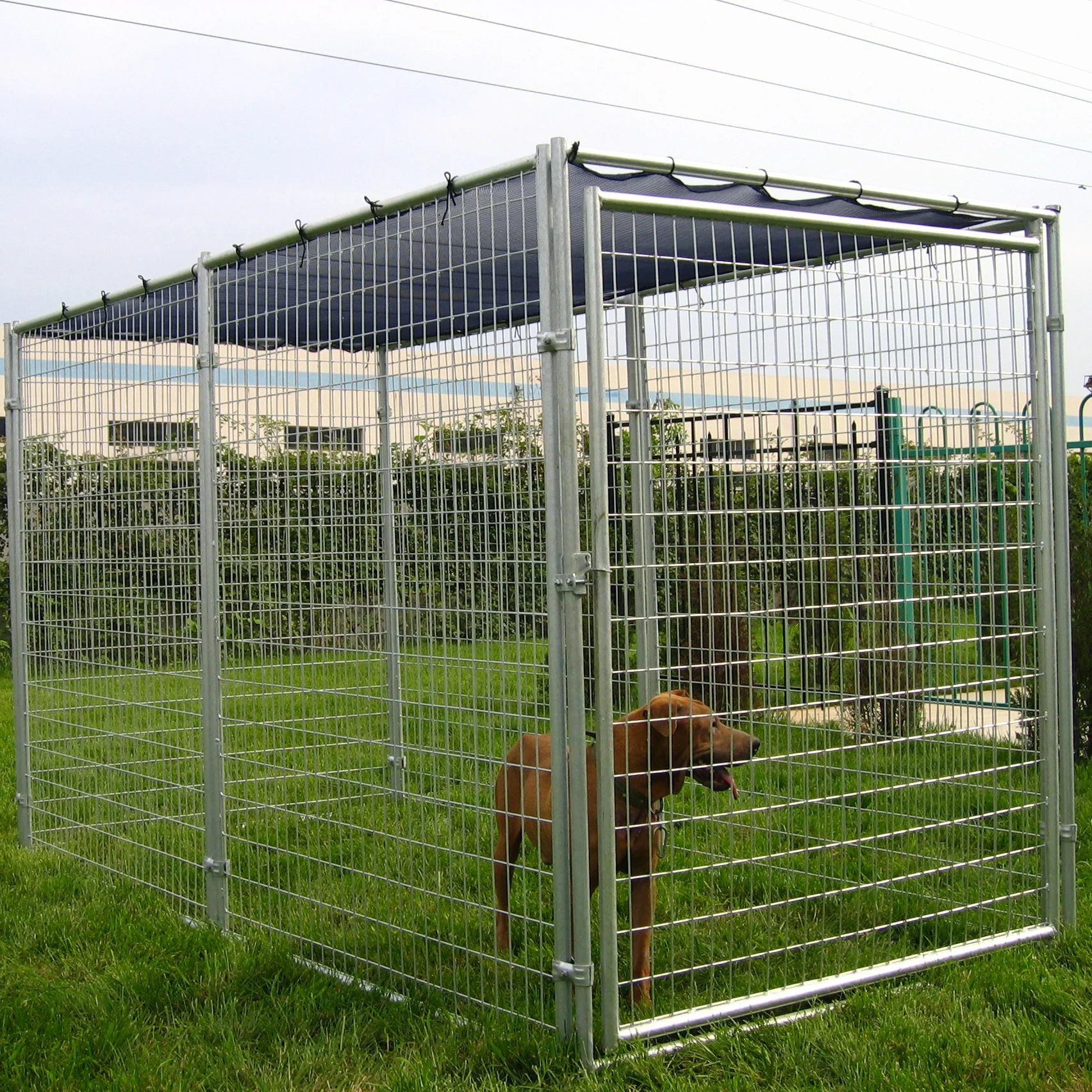 Outdoor large steel dog run kennel dog cages with shelter for sale