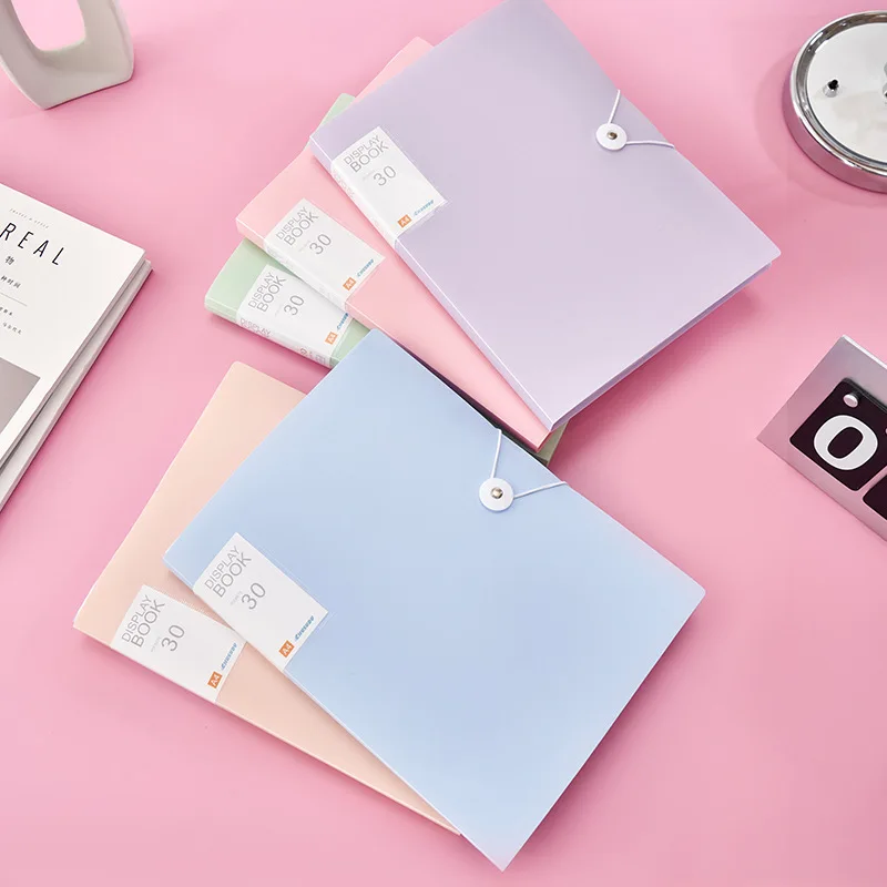 Budget plastic folder, document folder, booklet, student desk organizer, A4, pages 30/60/80/100