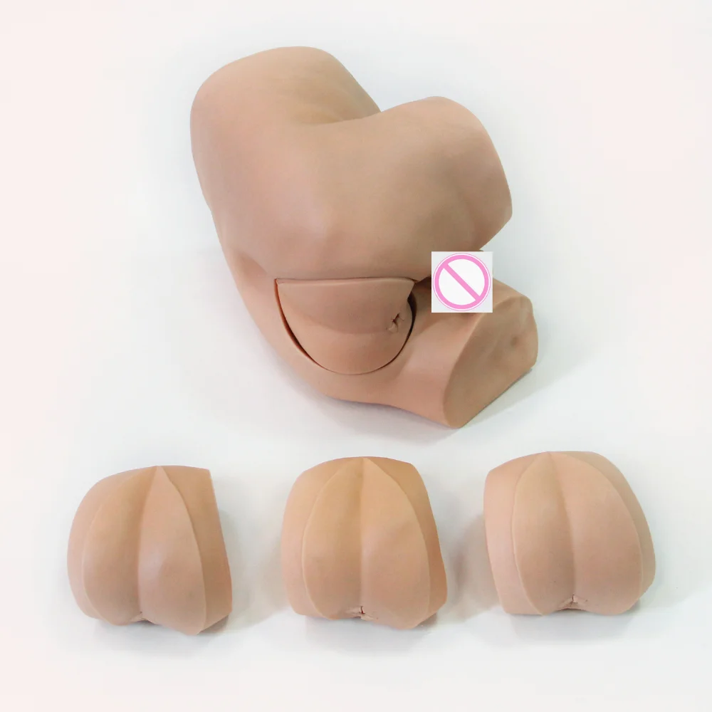 Advanced Digital Rectal Examination Model Medical Science Rectal Palpation Simulator Medical Supplies Educational Teaching Mater