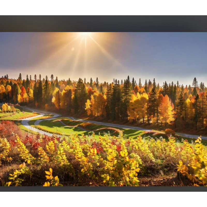 KST DS145MG 6V 5kg 0.12 SEC High Precision Metal Gear Digital Wing Glider Servo for UAV RC Car Robot Arm Boat Helicopter