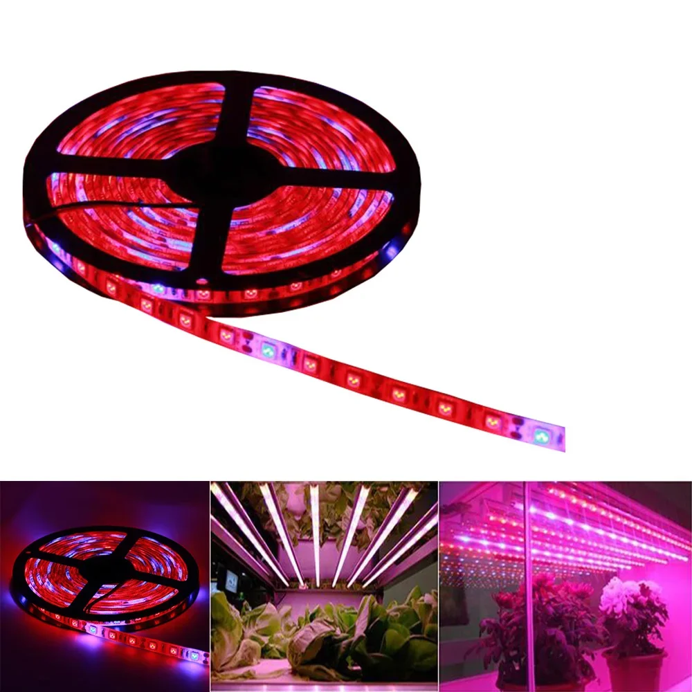 LED Plant Grow lights Full Spectrum LED Strip Flower phyto lamp 5m Waterproof Red blue for Greenhouse Hydroponic