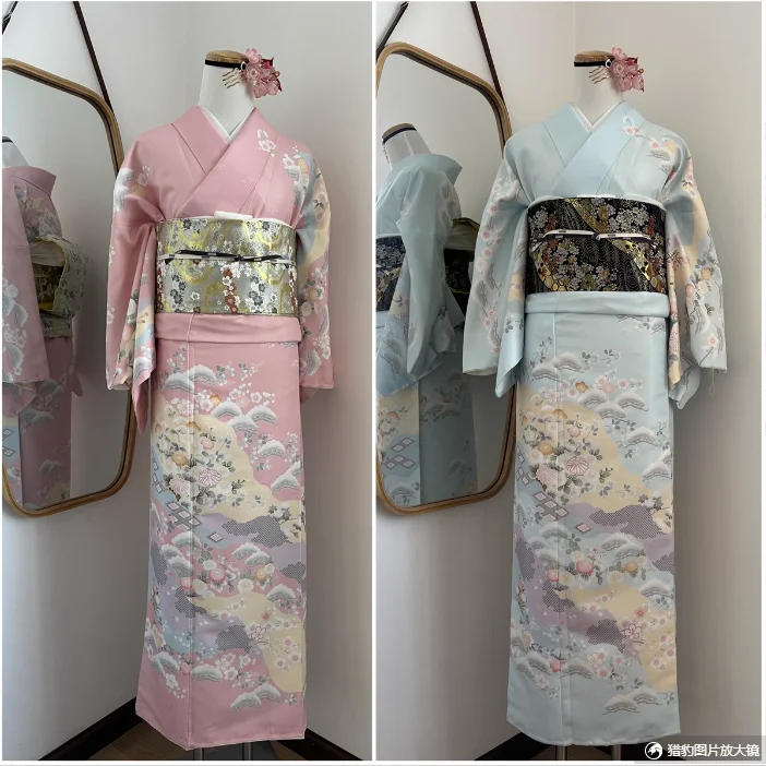 

Traditional Japanese Ladies Visiting Kimono Formal Dress