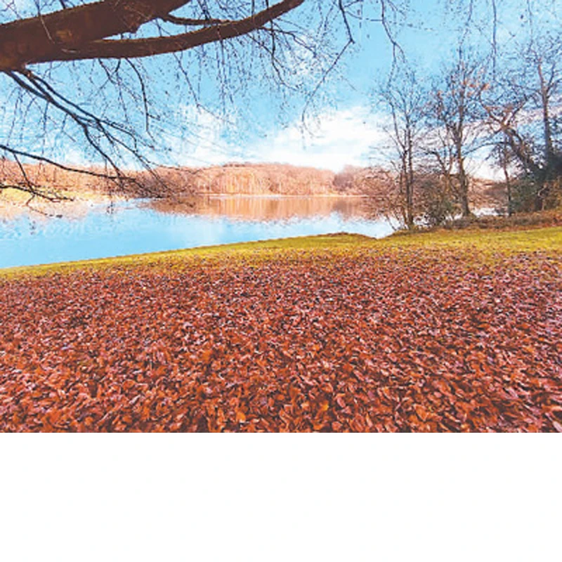 

Adjustable 5Pcs Sectional Front Spoiler Lip For Honda CR-V RW RS 2017-2026 Front Bumper Splitter Car Exterior Sport Body Kit