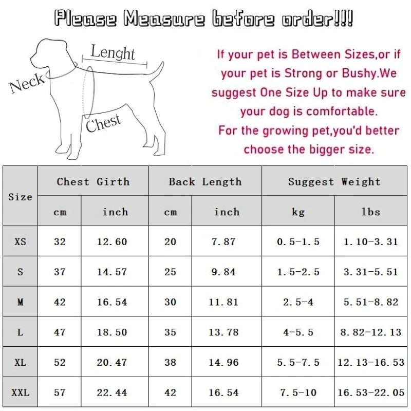 Dog Dress Girls Autumn Winter Dog Clothes Pet Dog Warm Coat Cat Skirt Chihuahua Bichon Puppy Dress and Shirt Set Dog Costume