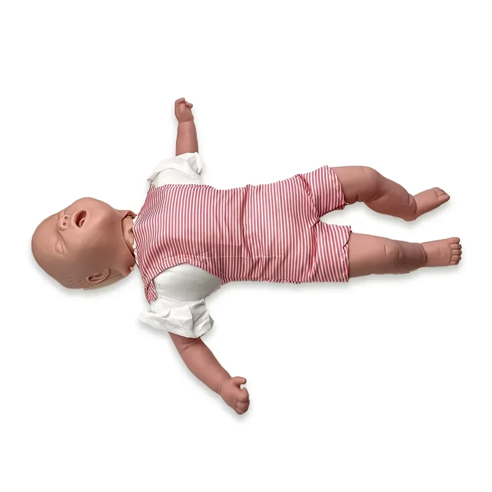 Modelo de entrenamiento de RCP infantil con accesorios, maniquí de práctica de primeros auxilios para obstrucción de vías respiratorias, herramienta de enseñanza médica Heimlich