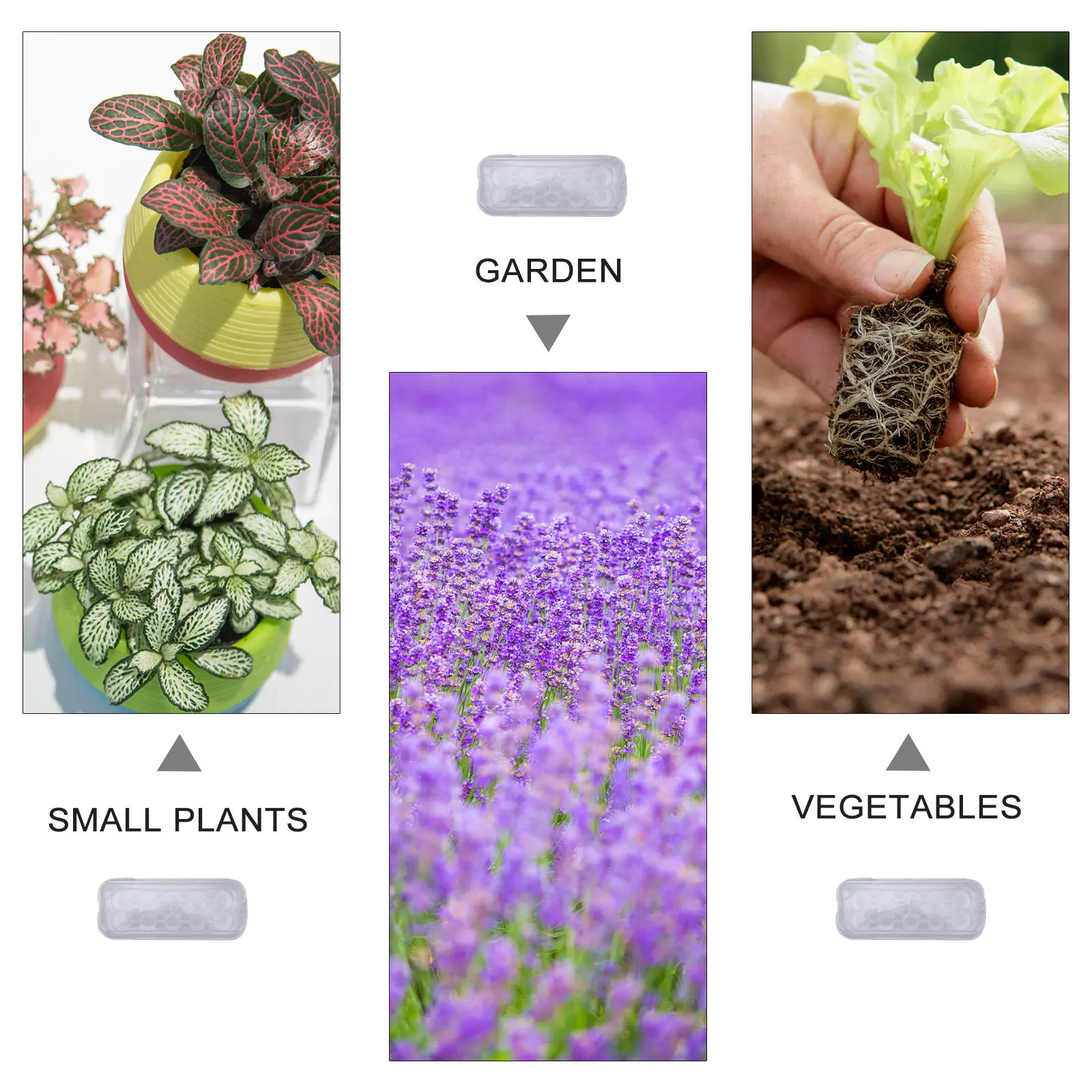 5Pcs Seedling Nursery Tray Plastic Germination Propagator Box Transparent Cover Moisture Proof Starter Tray Garden Sprouter