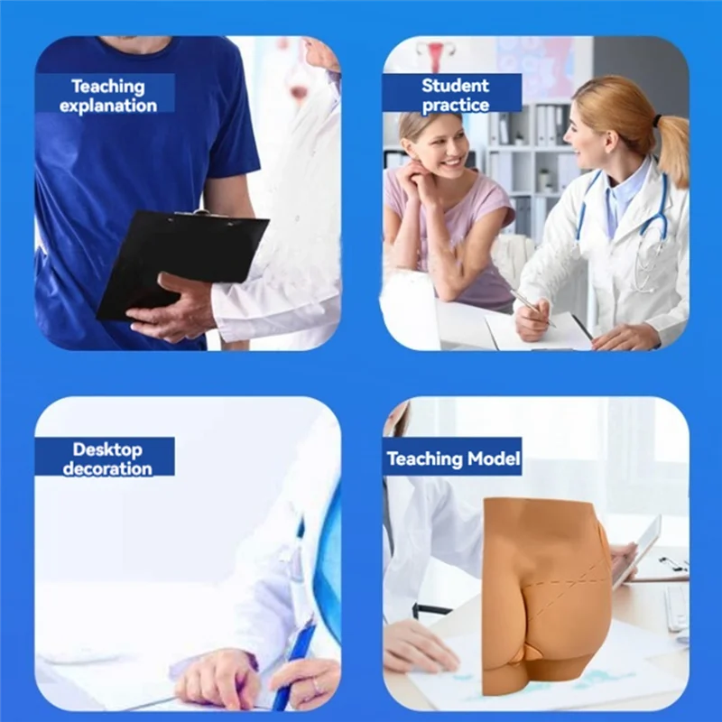 ABFM-Modelo anatômico do simulador de injeção intramuscular da articulação do quadril humano, punção do cuidado das nádegas, recursos de ensino