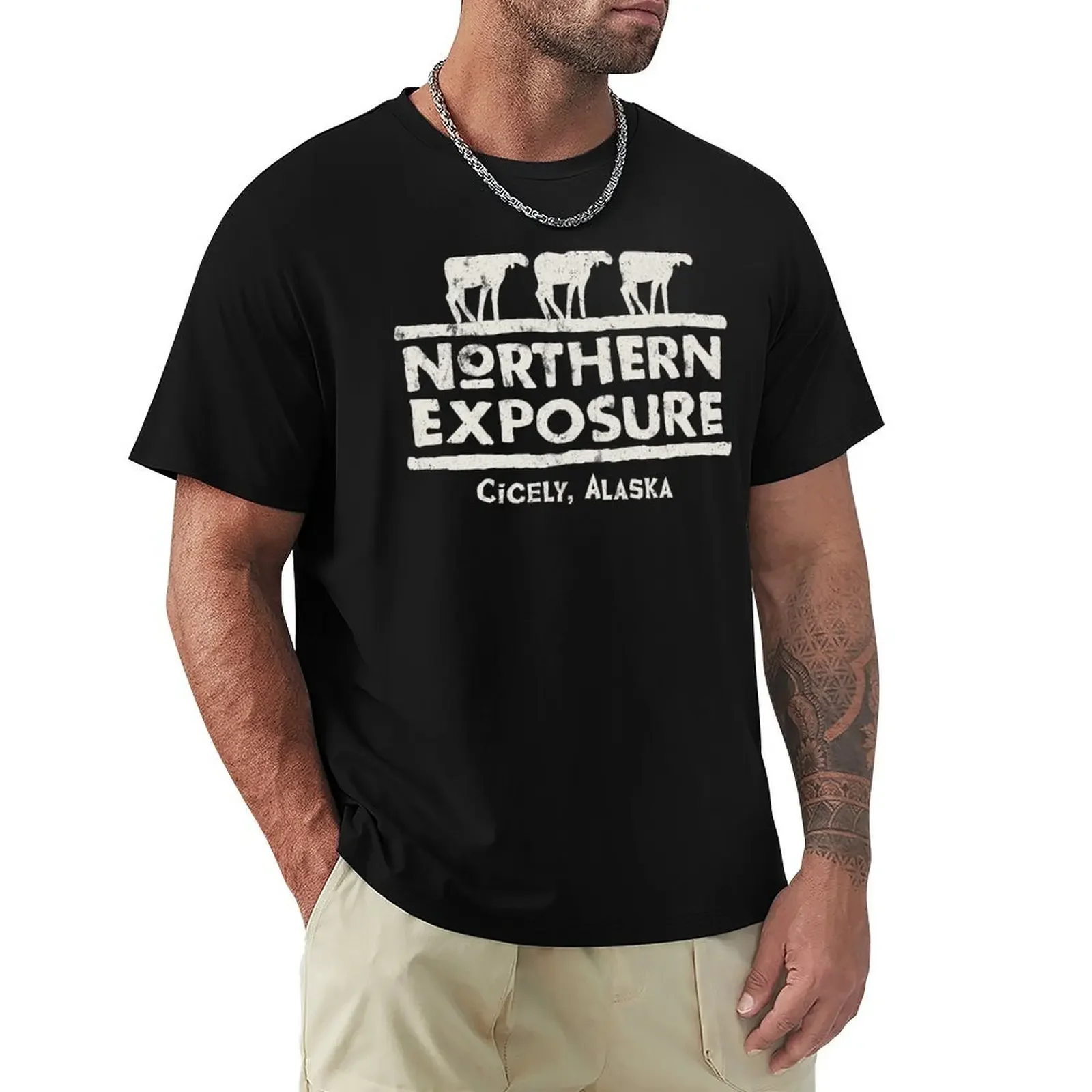 

Northern Exposure Logo Worn T-Shirt man clothes graphic t shirt vintage mens vintage t shirts