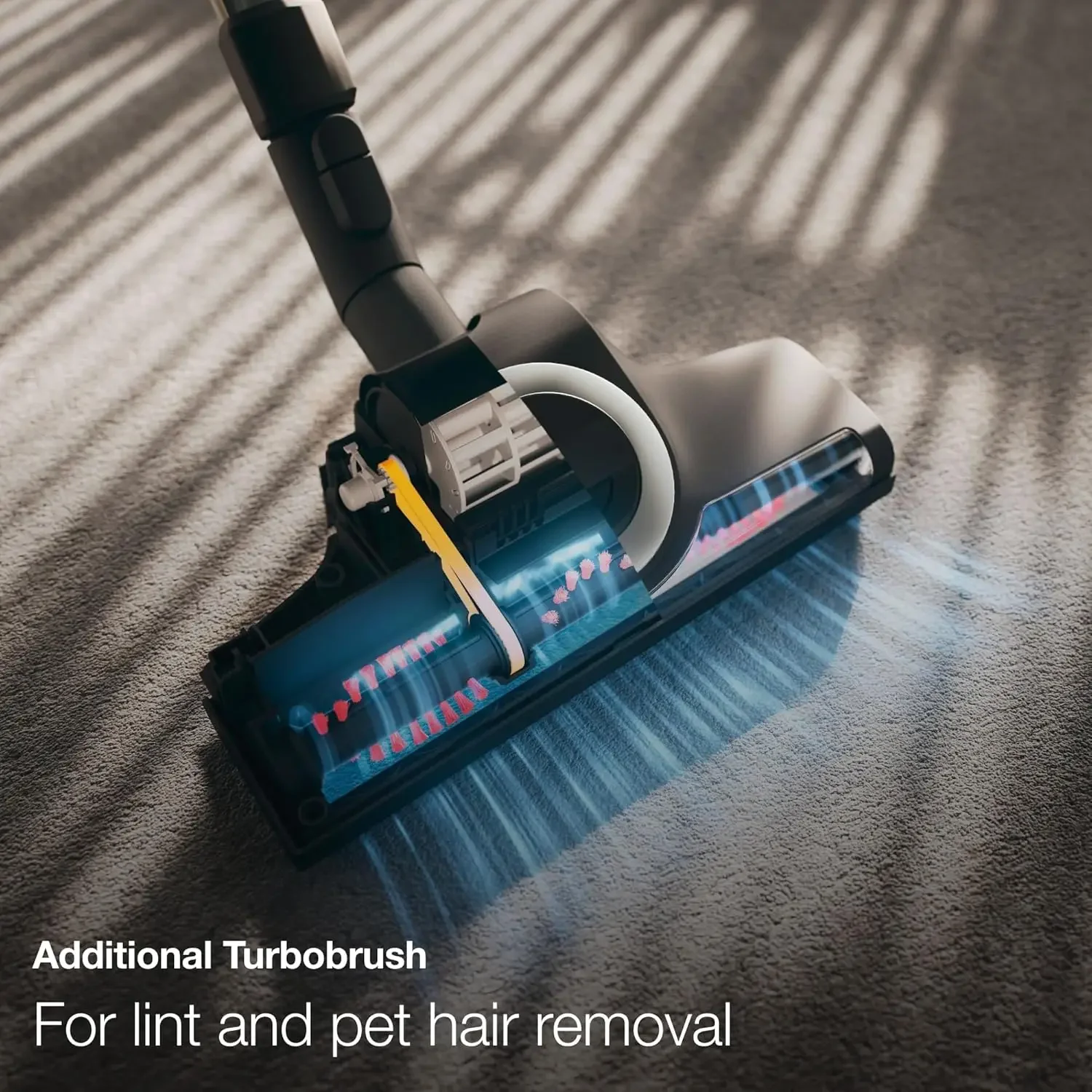 Aspirapolvere completo a contenitore con sacco C3 Calima con testina turbobrush, adatto per tappeti a pelo basso medio e F duro