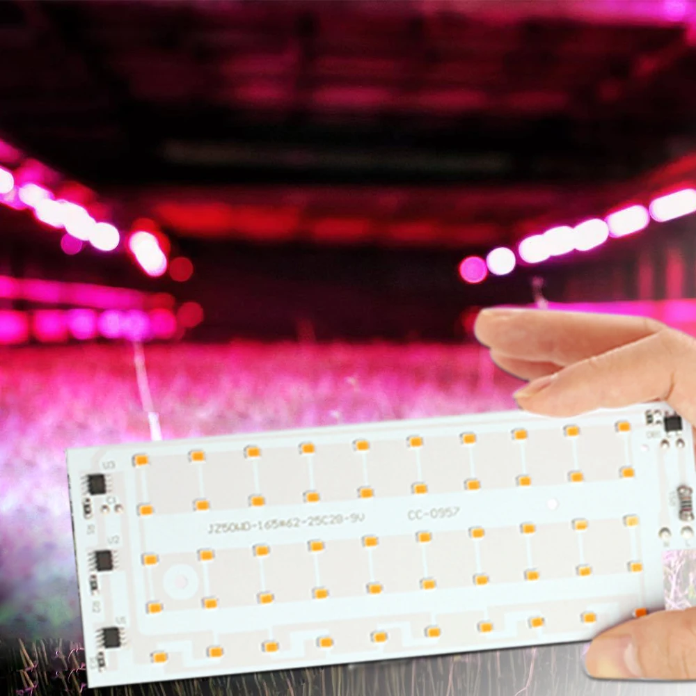 PhytoLamp-Chip de luz LED para cultivo de plantas, espectro completo, 50W, 220V, SMD2835