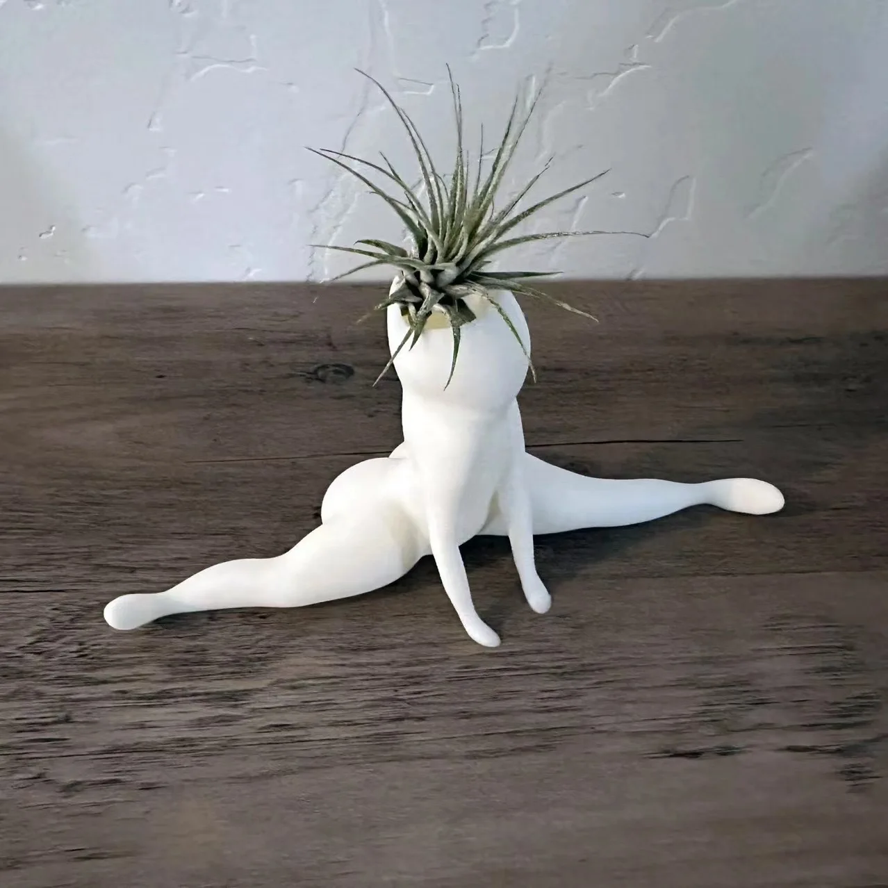 Hilarious Big Booty Ghost Planter Succulent Planter Air Plant Display Indoor Planter Decor Planter Plant Pots Funny Prank Gift