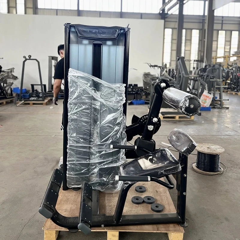 Professional Commercial Gym Fitness Indoor Bodybuilding Equipment Strength Training Machine Biceps Curl & Triceps