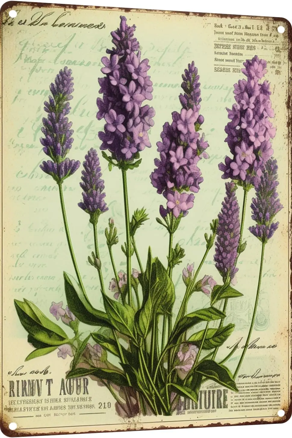 Retro Vintage Garden Lavender Flowers Metal Tin Sign, Retro 