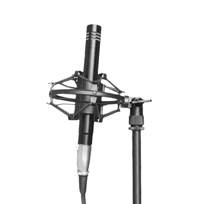 

Pen-shaped professional small diaphragm microphone recording live microphone desktop stand set