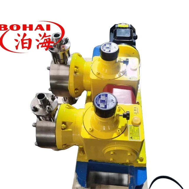 

Mechanical Diaphragm Pump Piston Pump Reagent Addition Dosing Pump