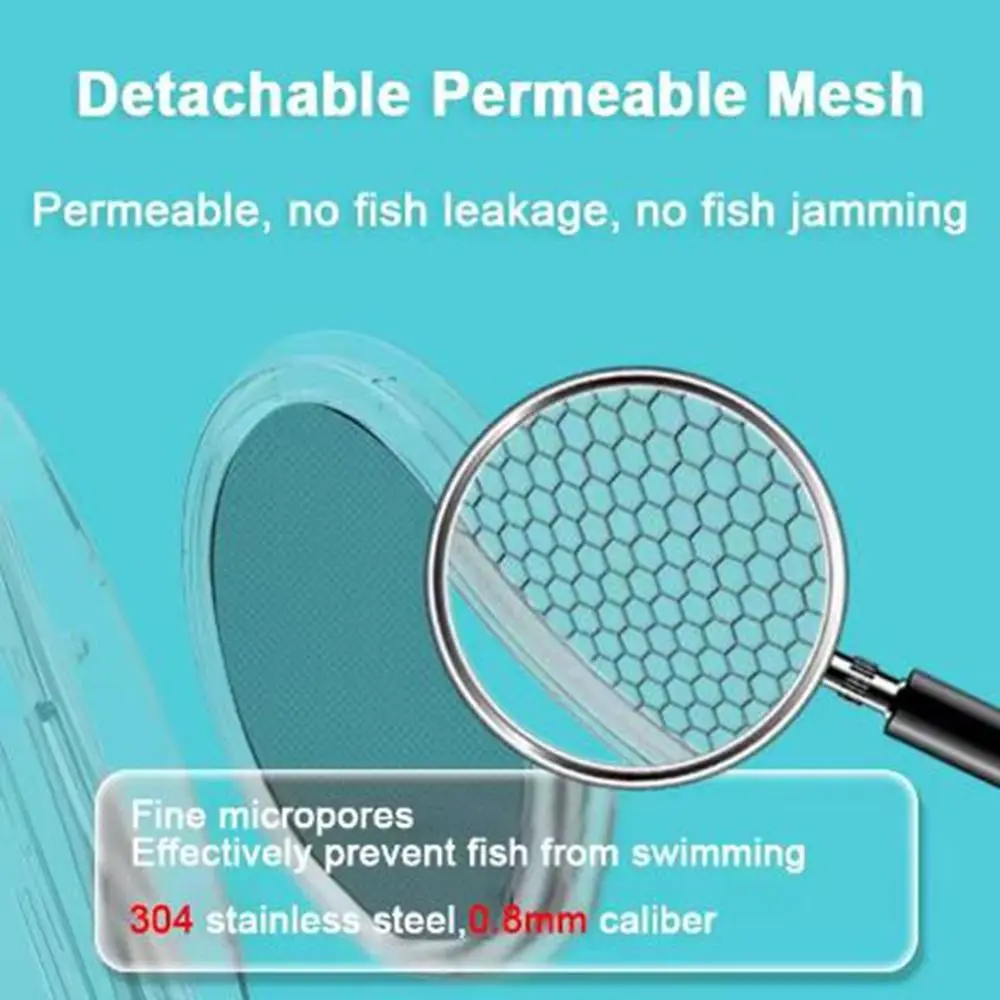 Cupulla: Innovación y Calidad en Productos para Acuarios