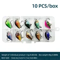 1 Box