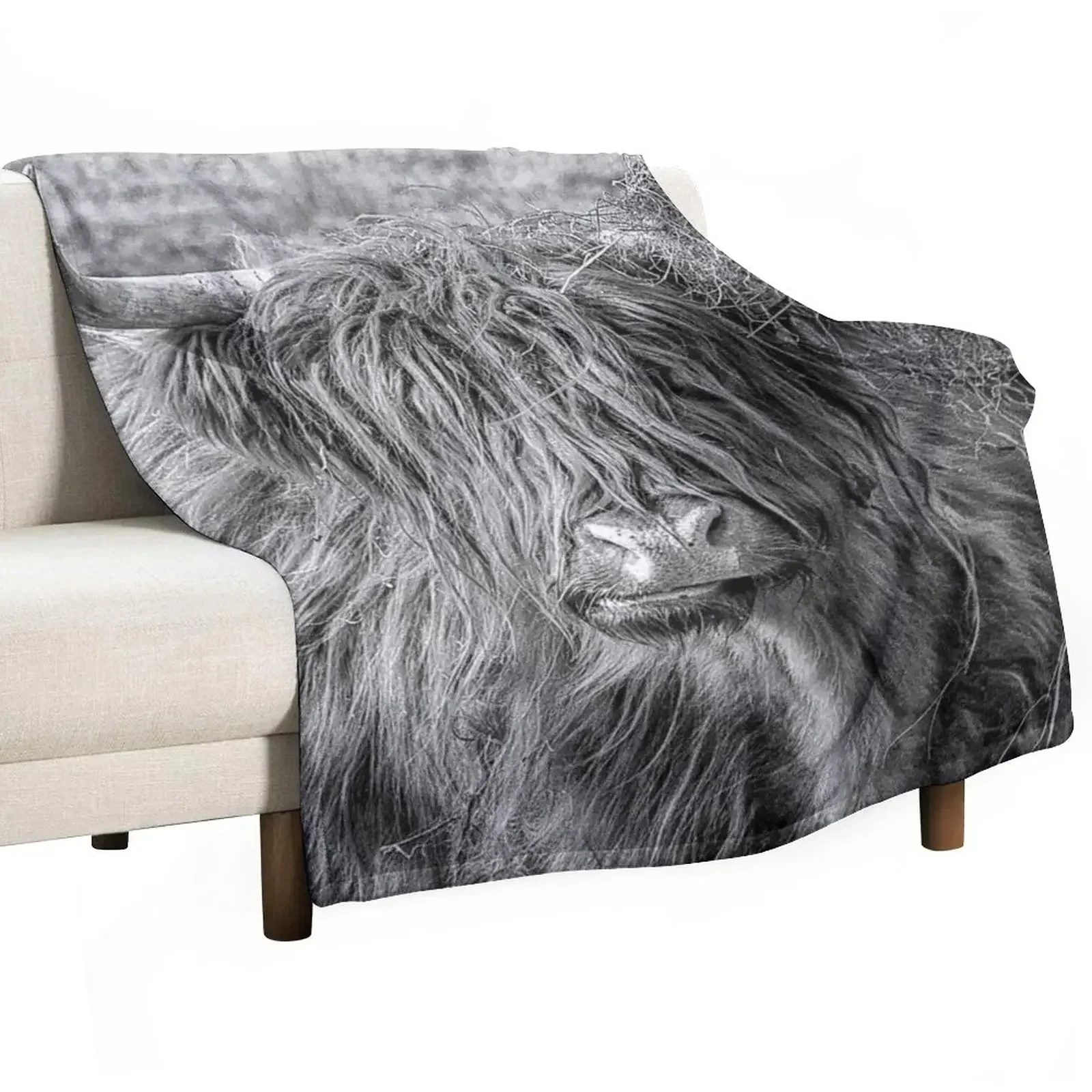 

New Black and white Scottish Highland cow Throw Blanket Tourist Heavy Winter beds Hairys Blankets