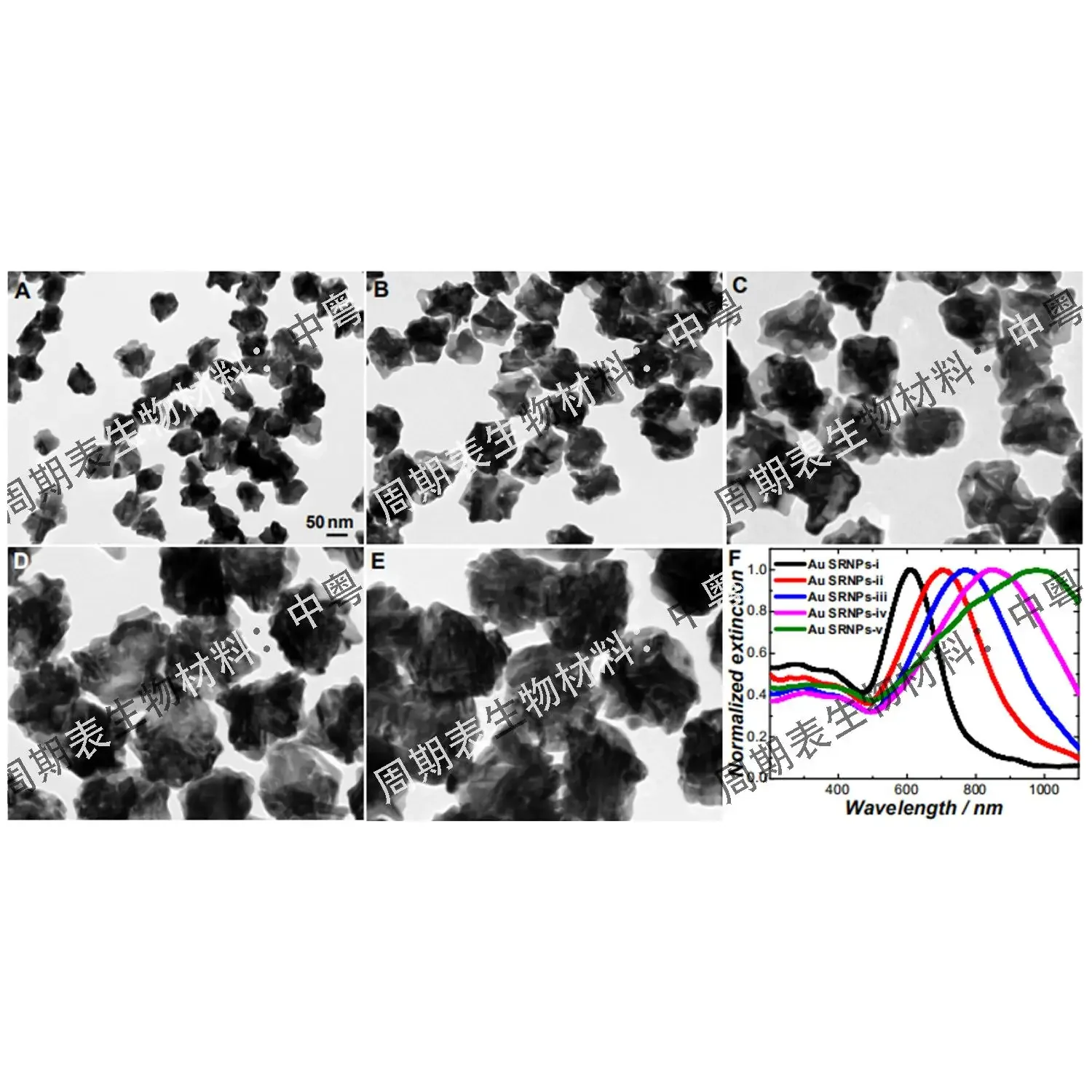 Inert Nano-gold Colloid SHINERS Particles, Silica-coated Nano-gold, Surface-enhanced Raman