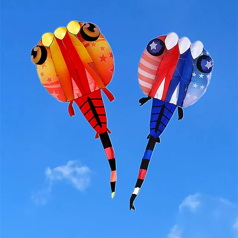 

free shipping large tadpole kite for adults outdoor toys flying papalotes cometas grandes windsurfing kite professional fun koi