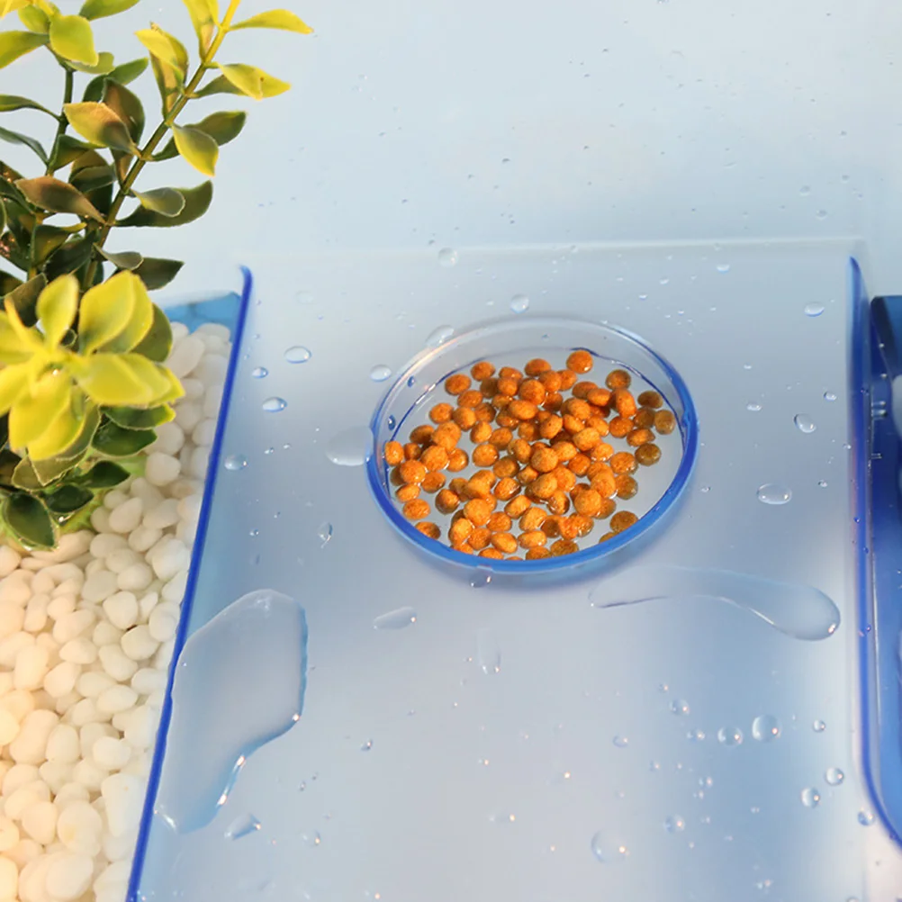 

1pc Reptile Feeding Feeding Box Breeding Case Large Capacity Plastic Outdoor Cage Translucent Blue Size Reptile