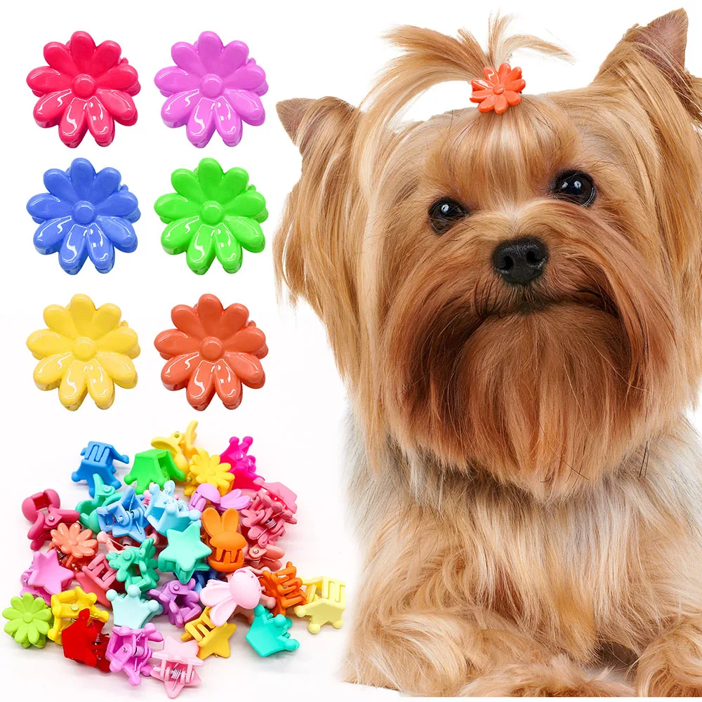 200PCS Small Dog Cat Hairpin Mini Colourful Crown Hair Clips For Dogs Pets Fashion Headwear Hair Accessories For Small Dogs Cats