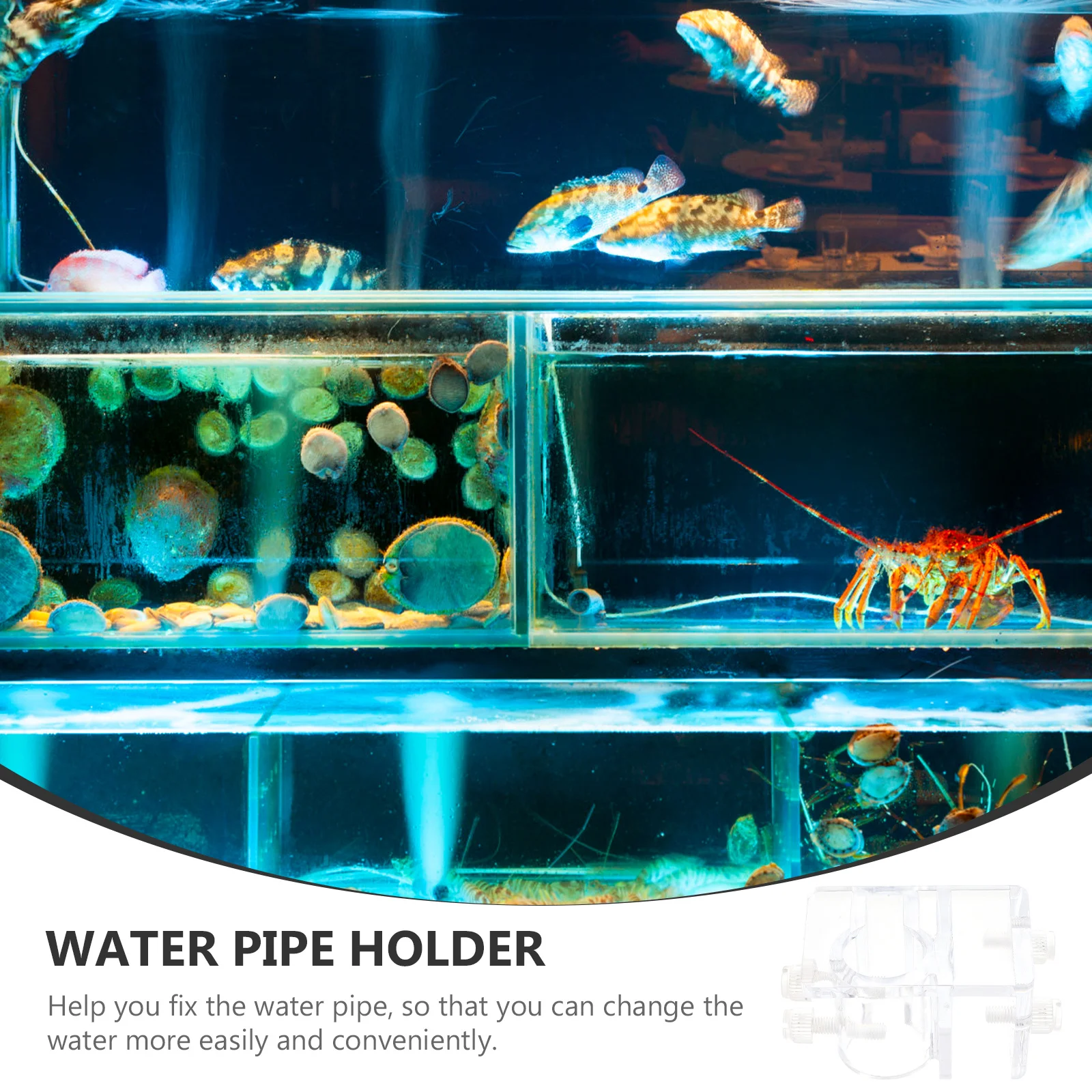 

2Pcs Acrylic Aquarium Hose Clamp Fish Tank Water Holder Accessories Sturdy Water Tube Fixator for Hose Management