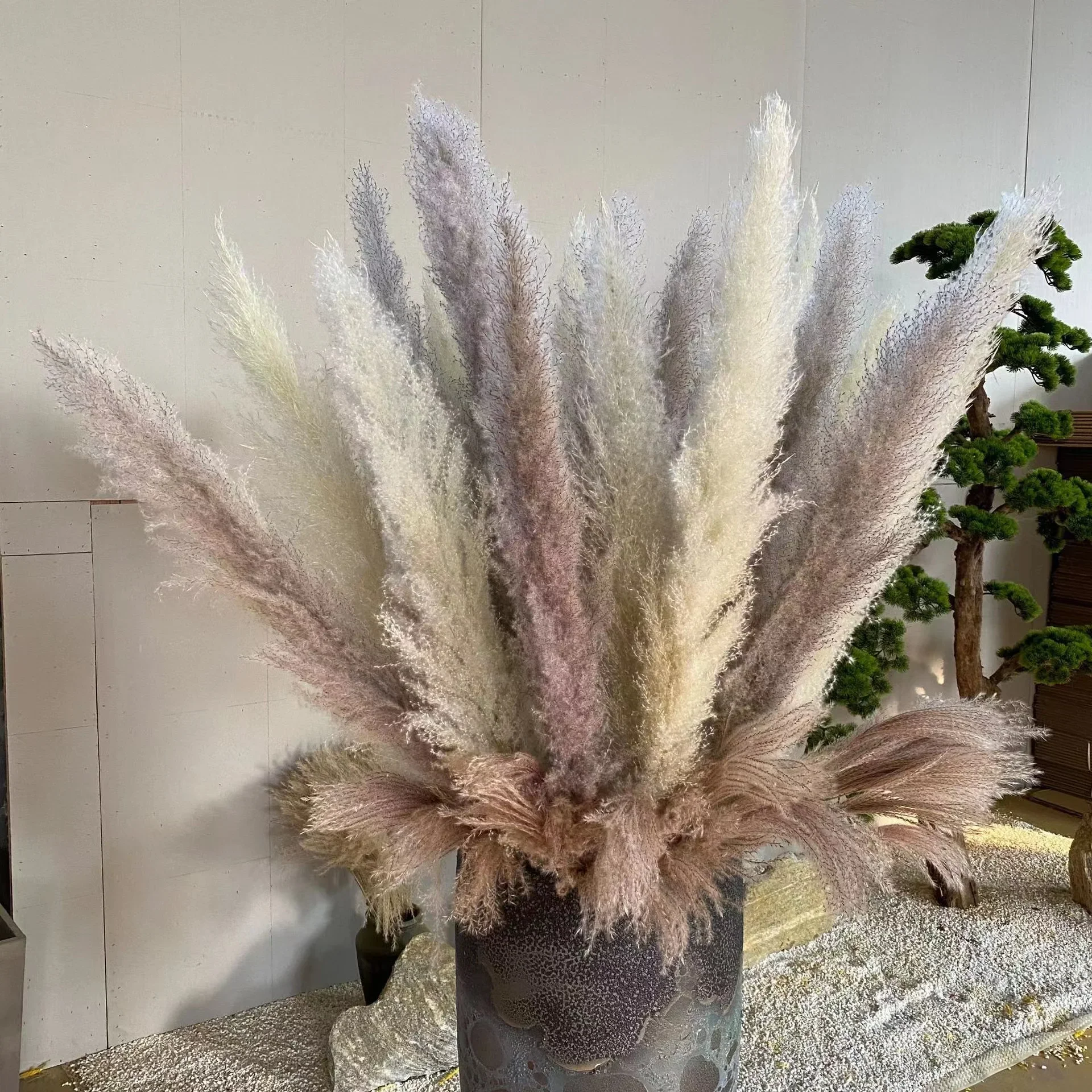 

Dried Natural Flower, Large Pampas Grass, Fluffy, Pink, White, Grey, Wedding Pompas, Floral Decoration, Artificial Flowers, 80cm