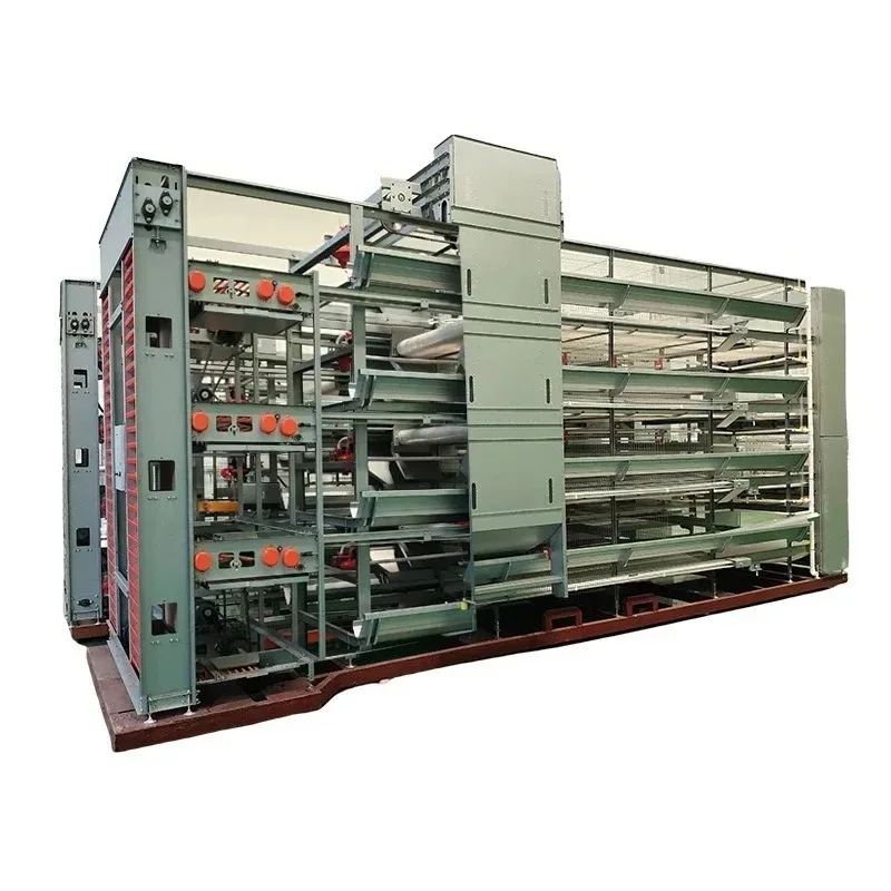 

Automatic egg picker for chicken farms, vertical automation of chicken cage equipment, multi-layer chicken cages