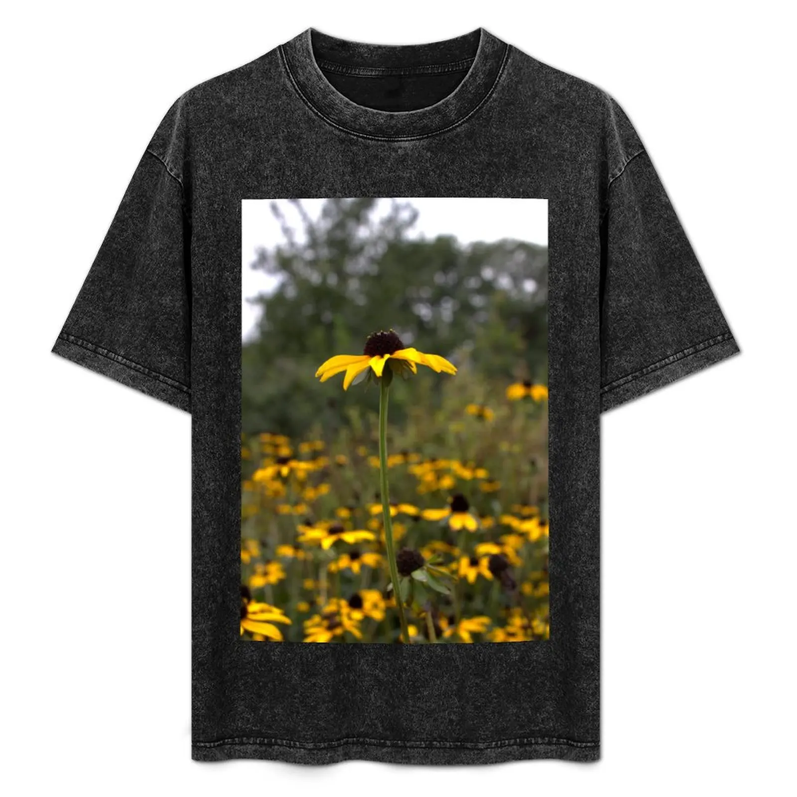 Black Eyed Susan. Field. T-Shirt Soft Cotton Print T-Shirt