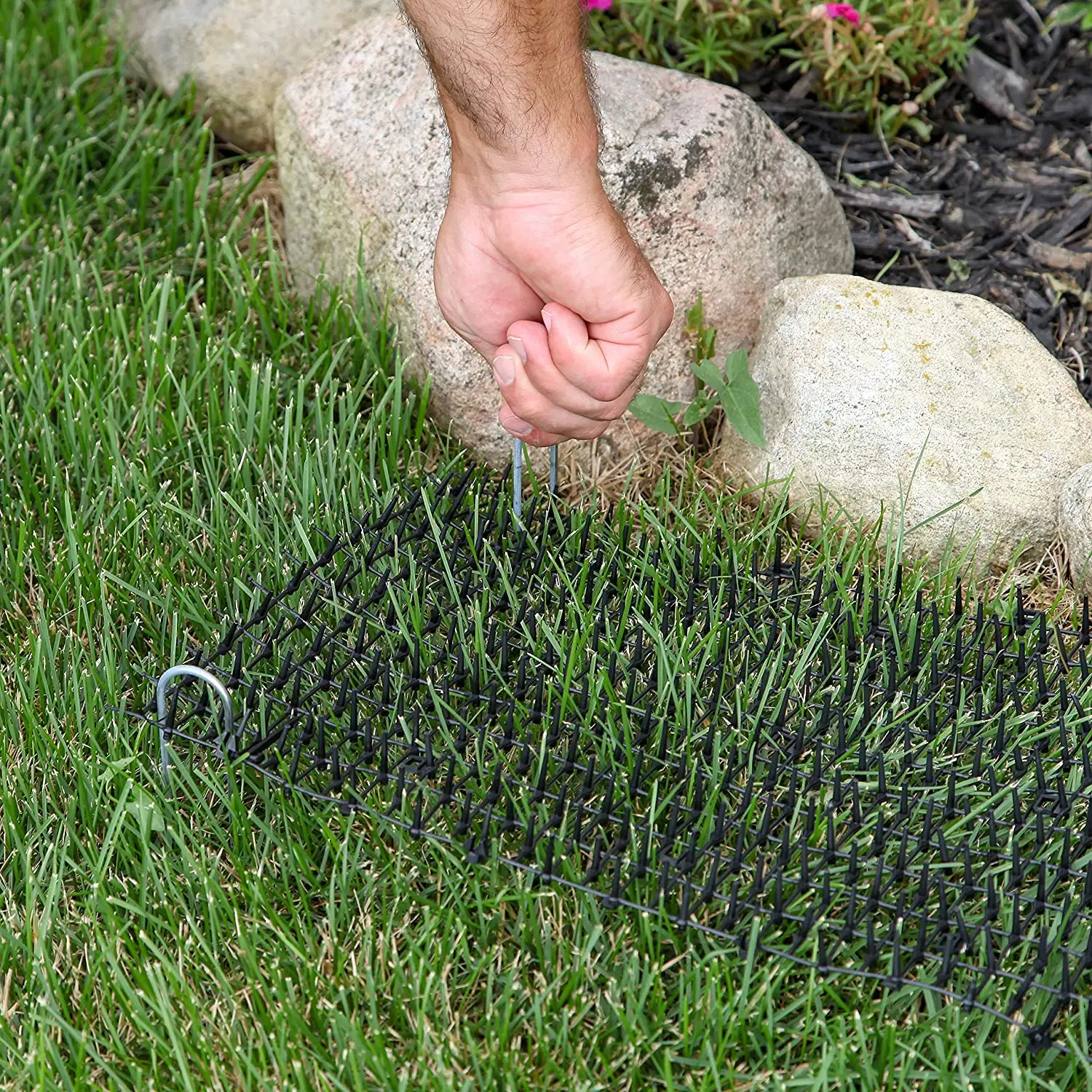 Katzenkotmatte weiß -4 m x 0,28 m, Anti-Katzen-Netzwerk mit Spikes, Garten-Grabstopper – Haustier-Hund-Katzen-Abschreckungsmatte für drinnen und draußen – Detail 13