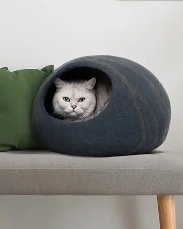 cat cave