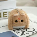 Orange Cat