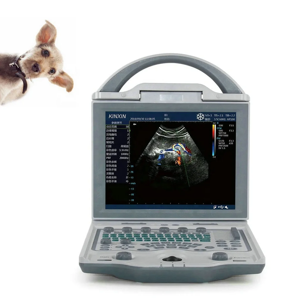 Veterinary Ultrasound Machine for cat Dog Pet Animals Laptop Color  Kaixin DCU12