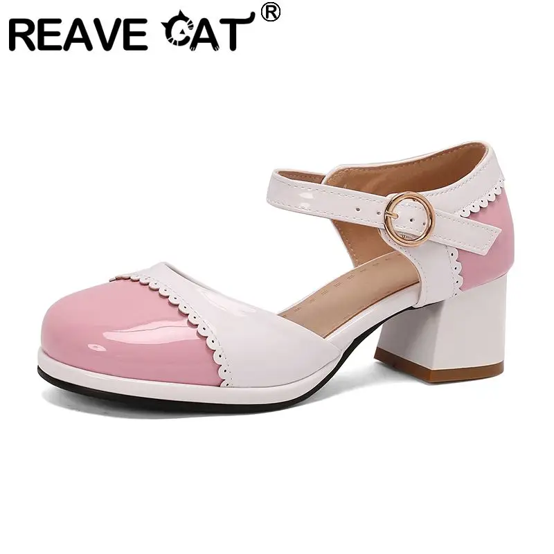 

REAVE CAT Janes Женские туфли-лодочки с круглым носком и блочным каблуком 5,5 см, платформа с пряжкой и ремешком, разноцветные, размеры 46, 47, 48 33, милые туфли