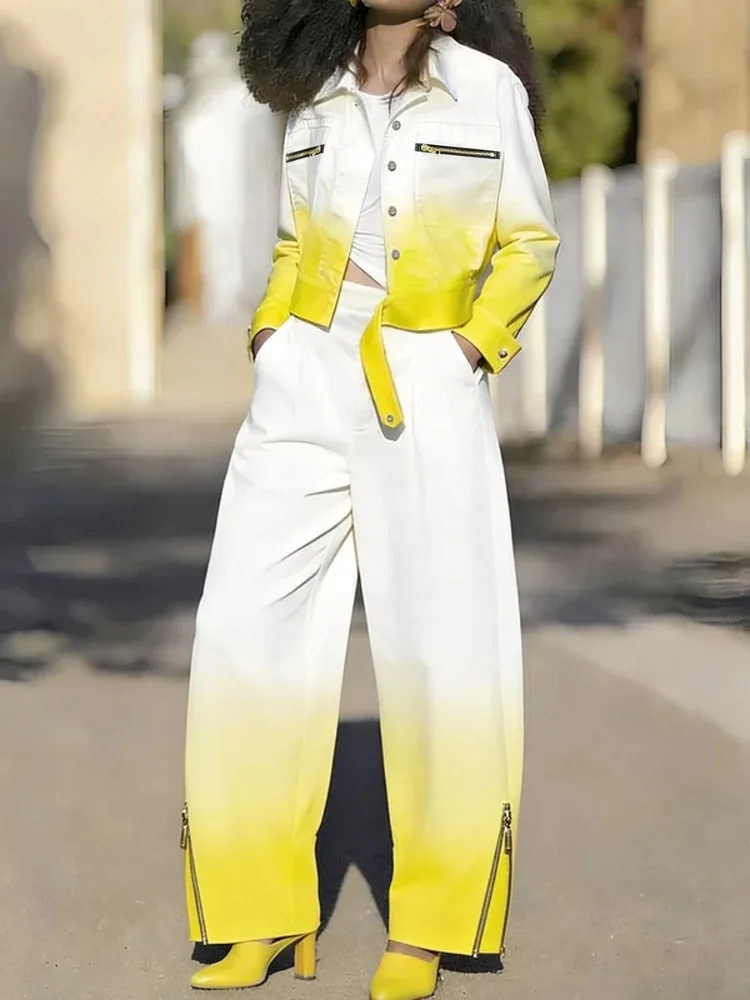 

Yeezzi 2026 New Women Fashion Ombre 2 Piece Set Long Sleeves Buttoned Lapel Cropped Jacket & Zipper Hem Wide Leg Pants Suits